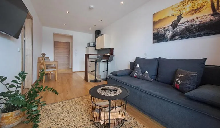 Appartement-Rettenstein-2-Personen-42m-+-26m-Terrasse Appartement-Rettenstein-2-Personen-42m-+-26m-Terrasse